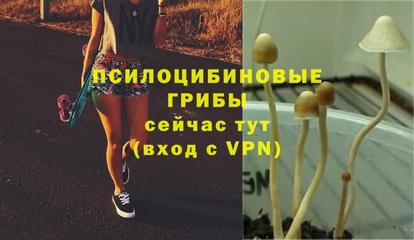 прущие крисы Балабаново
