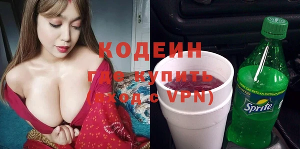 дурь Пестово